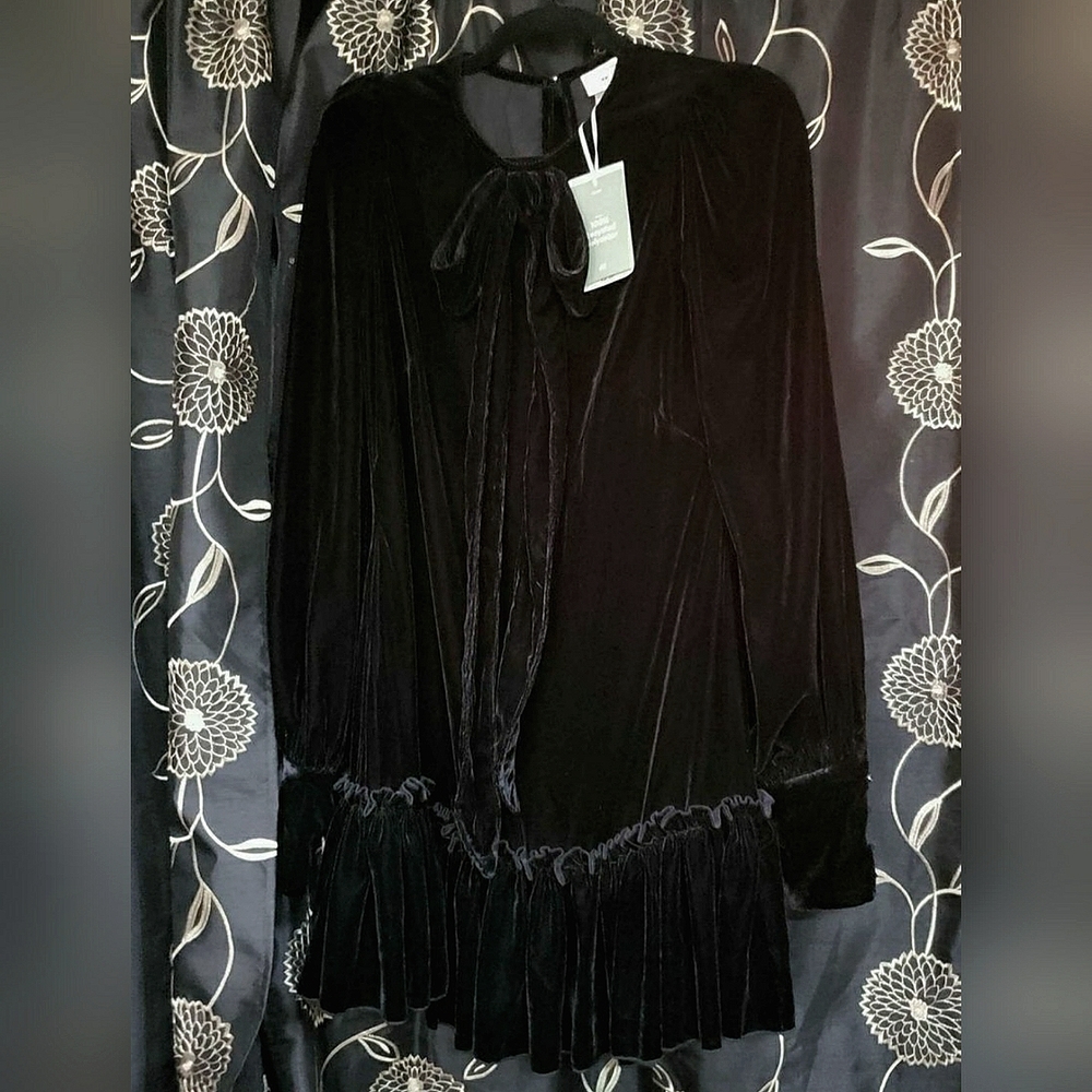 Vampire's Wife x H&M Ltd Edition  Velvet Dress